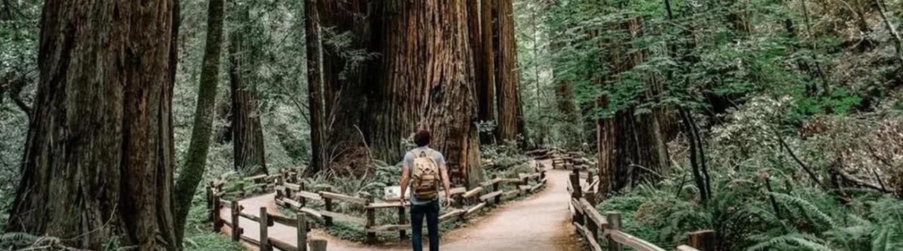 Abbotsford Valley Counselling