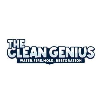 The Clean Genius