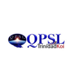 QPSLltd QPSLltd